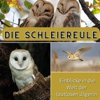 Produktbild: Die Schleiereule