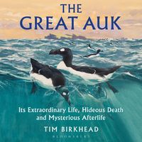 Produktbild: The Great Auk