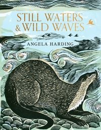 Produktbild: Still Waters & Wild Waves