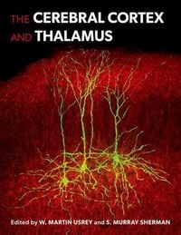 Produktbild: The Cerebral Cortex and Thalamus