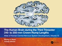 Produktbild: The Human Brain during the Third Trimester 310- to 350-mm Crown-Rump Lengths