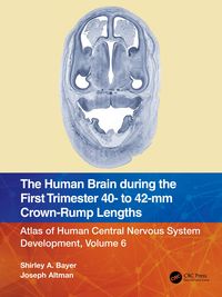 Produktbild: The Human Brain during the First Trimester 40- to 42-mm Crown-Rump Lengths