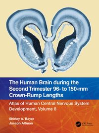 Produktbild: The Human Brain during the Second Trimester 96- to 150-mm Crown-Rump Lengths