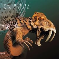 Produktbild: Fabric 17