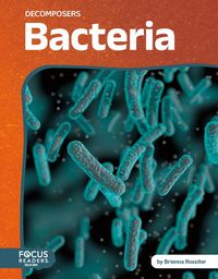 Produktbild: Bacteria