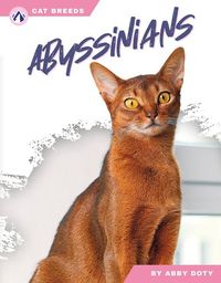 Produktbild: Abyssinians