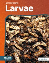 Produktbild: Larvae