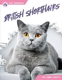 Produktbild: British Shorthairs