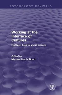 Produktbild: Working at the Interface of Cultures