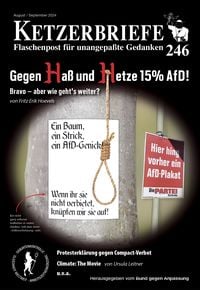 Produktbild: Gegen Ha&szlig; und Hetze 15% AfD! Bravo - aber wie geht&acute;s weiter?