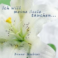 Produktbild: Ich will meine Seele tauchen ...