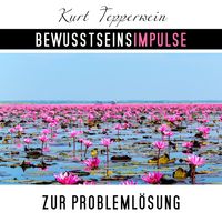 Produktbild: Bewusstseinsimpulse zur Probleml&ouml;sung