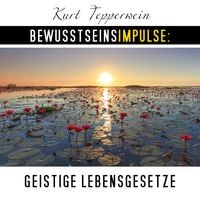 Produktbild: Bewusstseinsimpulse: Geistige Lebensgesetze