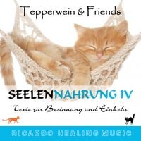 Produktbild: Seelennahrung 4: Texte zur Besinnung und Einkehr (Tepperwein and Friends)