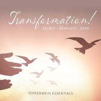 Produktbild: Transformation!