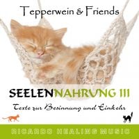 Produktbild: Seelennahrung 3: Texte zur Besinnung und Einkehr (Tepperwein and Friends)