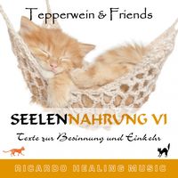 Produktbild: Seelennahrung 6: Texte zur Besinnung und Einkehr (Tepperwein and Friends)
