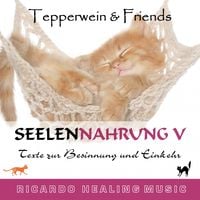 Produktbild: Seelennahrung 5: Texte zur Besinnung und Einkehr (Tepperwein and Friends)
