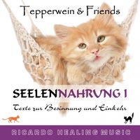 Produktbild: Seelennahrung 1: Texte zur Besinnung und Einkehr (Tepperwein and Friends)
