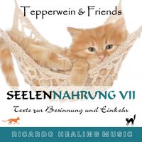 Produktbild: Seelennahrung 7: Texte zur Besinnung und Einkehr (Tepperwein and Friends)