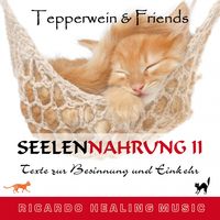 Produktbild: Seelennahrung 2: Texte zur Besinnung und Einkehr (Tepperwein and Friends)