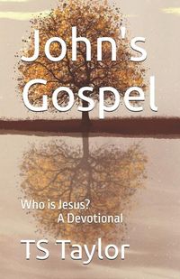 Produktbild: Taylor, T: John's Gospel