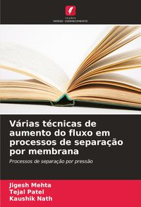 Produktbild: V&aacute;rias t&eacute;cnicas de aumento do fluxo em processos de separa&ccedil;&atilde;o por membrana