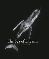 Produktbild: The Sea of Dreams