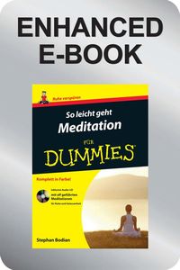 Bild vom Artikel So leicht geht Meditation für Dummies vom Autor Stephan Bodian