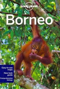 Bild vom Artikel Borneo vom Autor Daniel Robinson