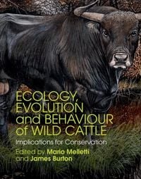 Produktbild: Ecology, Evolution and Behaviour of Wild Cattle