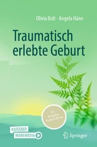 Produktbild: Traumatisch erlebte Geburt