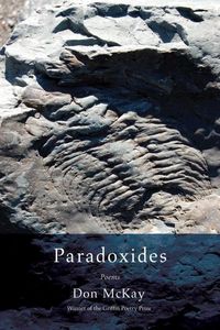 Produktbild: Paradoxides