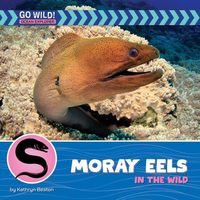 Produktbild: Moray Eels in the Wild