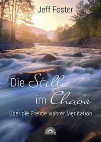 Produktbild: Die Stille im Chaos