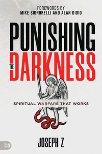 Produktbild: Punishing the Darkness