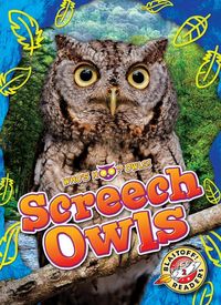 Produktbild: Screech Owls
