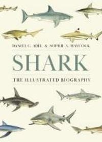 Produktbild: Shark