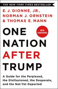 Produktbild: One Nation After Trump