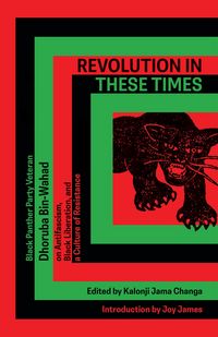 Produktbild: Revolution In These Times