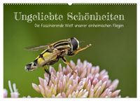 Produktbild: Ungeliebte Sch&ouml;nheiten - die faszinierende Welt unserer heimischen Fliegen (Wandkalender 2026 DIN A2 quer), CALVENDO Monatskalender