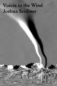 Produktbild: Voices in the Wind: A Flash Fiction Story