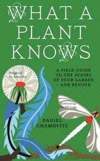 Bild vom Artikel What a Plant Knows vom Autor Daniel Chamovitz