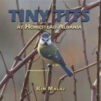 Produktbild: Tiny Tits at Homestead Albania