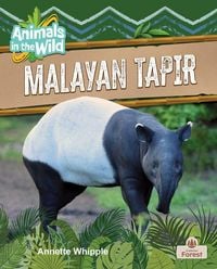 Produktbild: Malayan Tapir