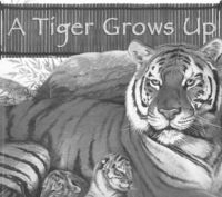 Produktbild: A Tiger Grows Up