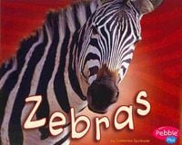 Produktbild: Zebras