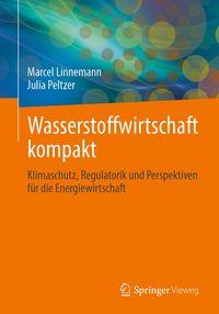 Produktbild: Wasserstoffwirtschaft kompakt
