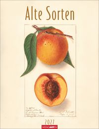 Produktbild Alte Sorten Kalender 2027