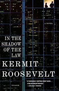 Produktbild: In the Shadow of the Law